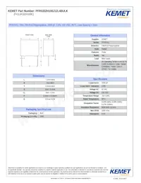 PFR5332H100J12L4BULK Datasheet Cover