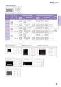 RM3216B-104/304-NWWP10 Datasheet Page 4