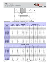 RSH-600-100 Datasheet Page 2