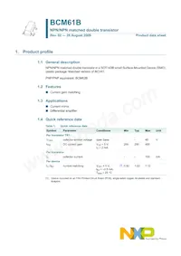 BCM61B Datasheet Page 2