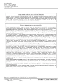 CM150RX-24S1 Datasheet Page 13