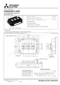 CM600DY-24S Datasheet Cover