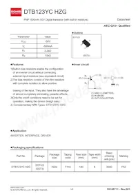 DTB123YCHZGT116 Datasheet Cover