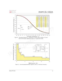 IRAM136-1060A Datasheet Pagina 13