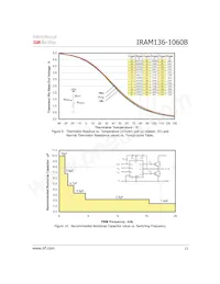 IRAM136-1060B Datenblatt Seite 13