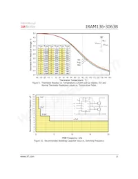 IRAM136-3063B2 Datasheet Page 13