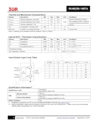 IRAM256-1067A2 Datasheet Page 6