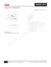 IRAM256-1067A2 Datasheet Page 16