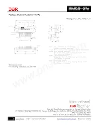 IRAM256-1067A2 Datasheet Page 17