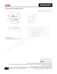 IRAM256-2067A2 Datasheet Page 17
