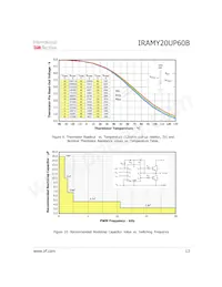 IRAMY20UP60B Datenblatt Seite 13