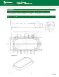 MG1275W-XBN2MM Datasheet Page 8