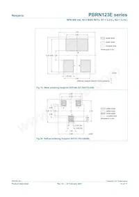 PBRN123ES Datenblatt Seite 13