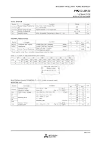 PM25CLB120 Datasheet Page 3