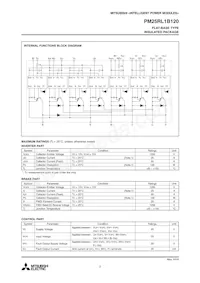PM25RL1B120 Datasheet Page 2