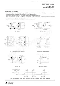 PM75B6L1C060 Datasheet Page 6
