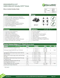 GB2X100MPS12-227 Datasheet Cover