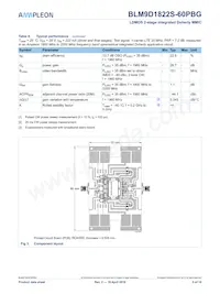 BLM9D1822S-60PBGY Datasheet Page 5