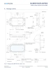 BLM9D1822S-60PBGY Datasheet Page 12