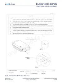 BLM9D1822S-60PBGY Datasheet Page 13