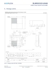 BLM9D2325-20ABZ Datasheet Page 12