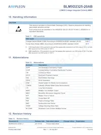 BLM9D2325-20ABZ Datasheet Page 13