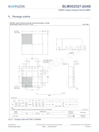 BLM9D2527-20ABZ Datasheet Page 12