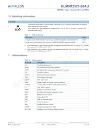 BLM9D2527-20ABZ Datasheet Page 13