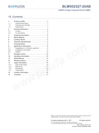 BLM9D2527-20ABZ Datasheet Page 17