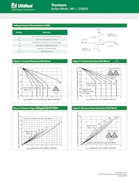 C122F1G Datenblatt Seite 3