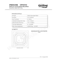 CPS053-2N878-WN Datasheet Cover