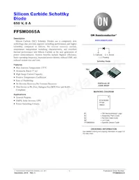 FFSM0865A Datenblatt Cover