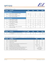 NPT1010B Datasheet Page 2