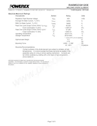 RAXMGC0412XX Datasheet Page 2