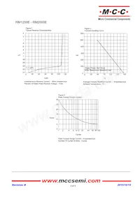 RM2000E-TP Datasheet Page 2
