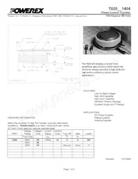 T820081404DH Datasheet Copertura