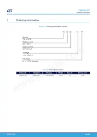 TN6050-12PI Datasheet Page 9