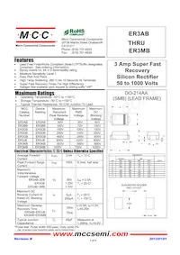 ER3GB-TP Datenblatt Cover