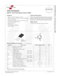 FGH75T65SHD-F155 Datenblatt Seite 2