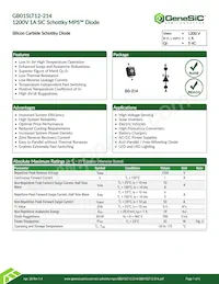 GB01SLT12-214 Datasheet Cover