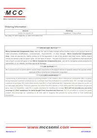 GS2B-LTP Datasheet Page 3