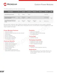 MSC050SDA070S Datasheet Page 22