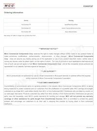 R3000FGP-TP Datasheet Page 3