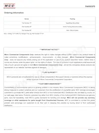 R4000GPS-TP Datasheet Pagina 3