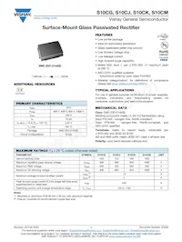 S10CKHM3/I Datasheet Cover