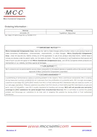 SK3200B-LTP Datasheet Page 3