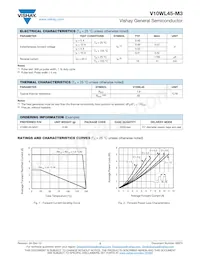 V10WL45-M3/I Datenblatt Seite 2