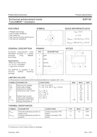 BSP100 Datasheet Pagina 2