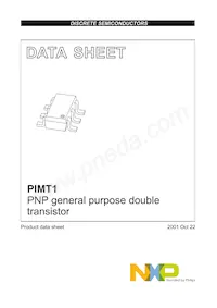 PIMT1 Datasheet Page 2