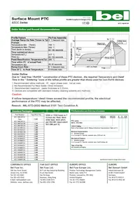 0ZCC0300FF2B Datasheet Page 4